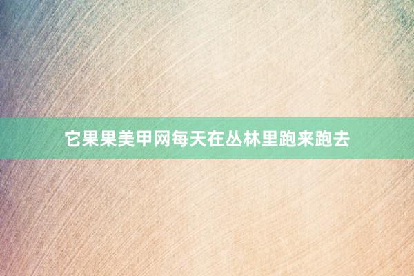 它果果美甲网每天在丛林里跑来跑去