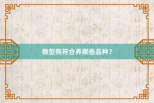 微型狗符合养哪些品种?